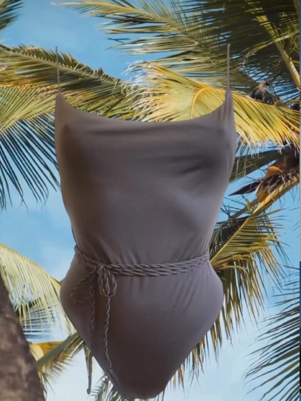 Instagram post from agua_sala. This post is in position 2.